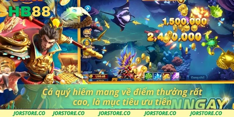 Cá quý hiếm mang về điểm thưởng rất cao, là mục tiêu ưu tiên