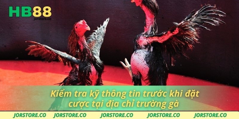 Kiểm tra kỹ thông tin trước khi đặt cược tại địa chỉ trường gà 