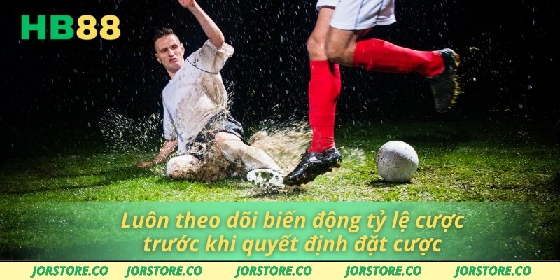 Luôn theo dõi biến động tỷ lệ cược trước khi quyết định đặt cược
